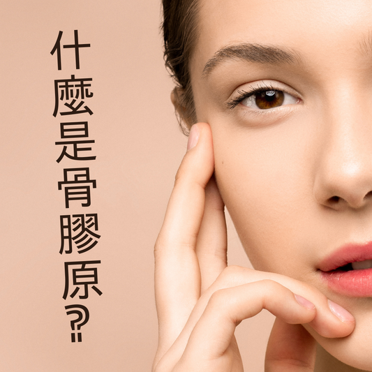 膠原蛋白(Collagen)是甚麼?