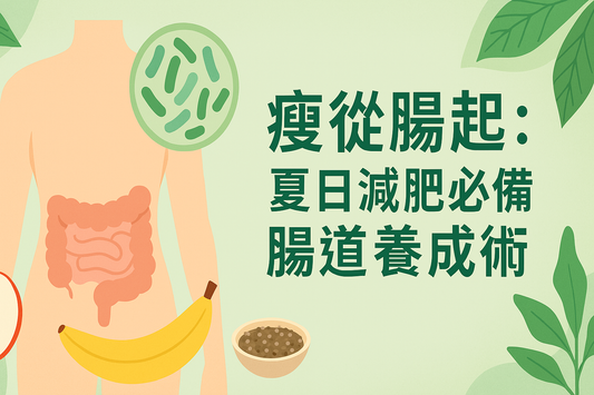 「瘦」從腸起：夏日減肥必備腸道養成術