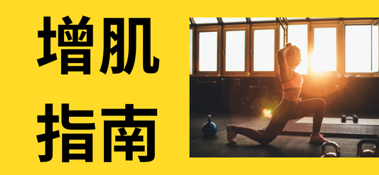 增肌指南