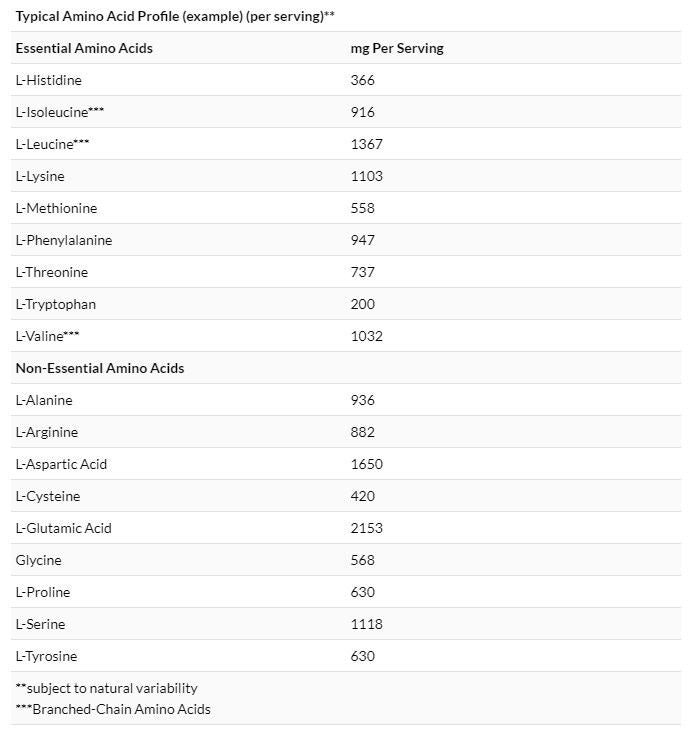 NOW Foods 運動 卵清蛋白質粉 原味 5 磅（2,268 克）[香港行貨]