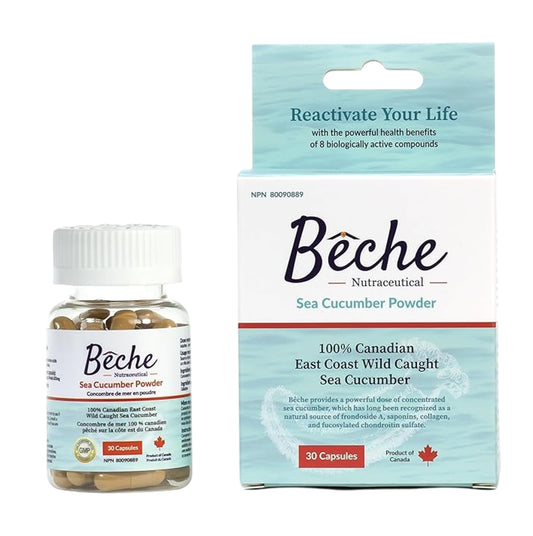 Bêche 100% Canadian Sea Cucumber Powder Supplement 30 Capsules [Parallel Goods]