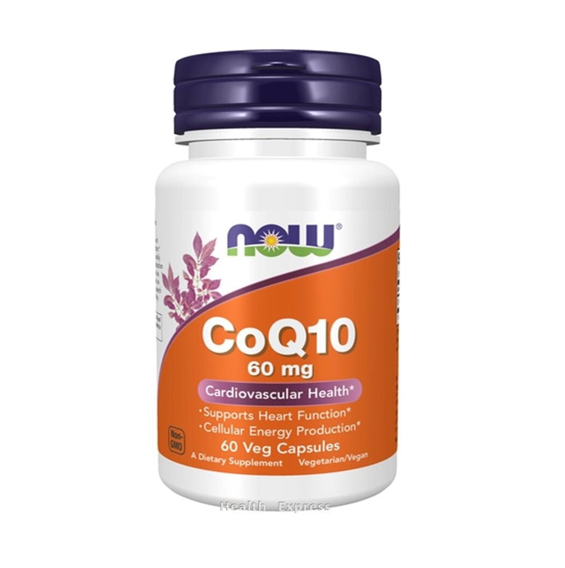 NOW Foods 辅酶 Q10 60 毫克 60 粒素食胶囊 心血管抗氧化
[香港行货]