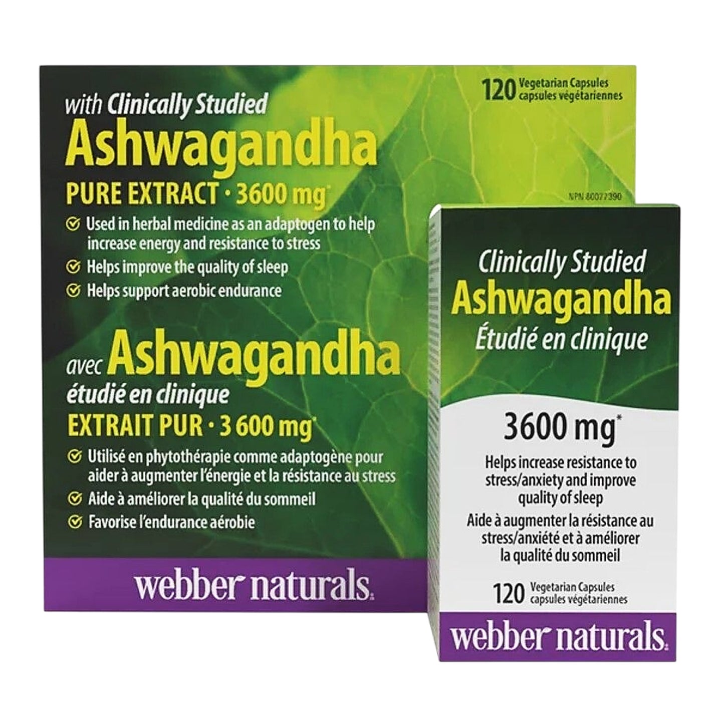 Webber Naturals 南非醉茄 3,600 毫克 120粒素食膠囊 [平行進口]